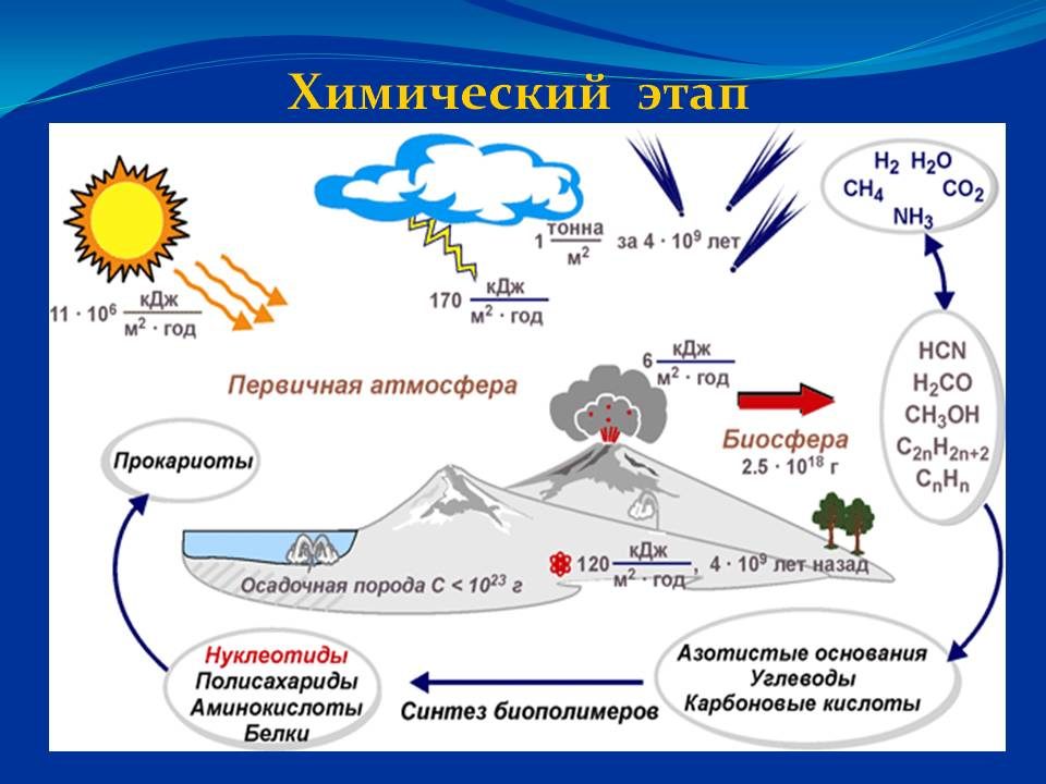 Происхождение жизни на земле схема